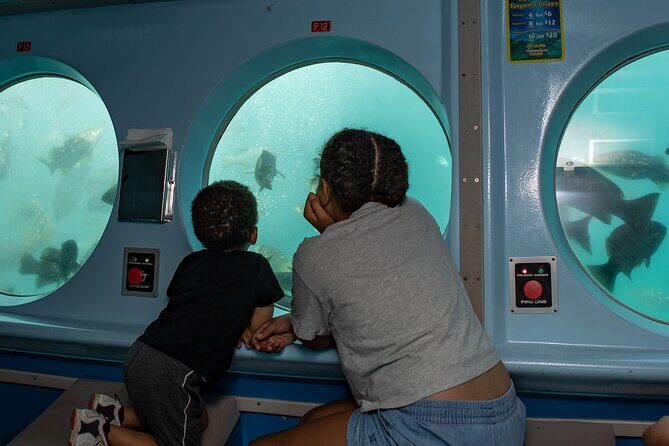 Yellow Semi-Submarine Tour of Catalina Island From Avalon - Who Should Consider This Tour?
