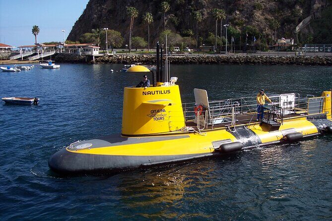 Yellow Semi-Submarine Tour of Catalina Island From Avalon - The Sum Up