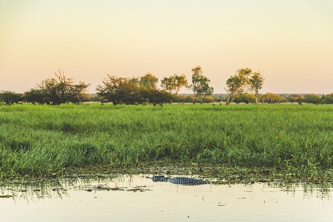 Yellow Water Cruise - Kakadu - The Sum Up
