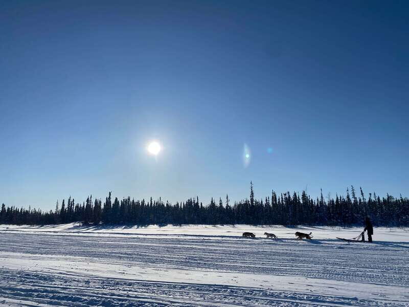 Yellowknife: Dog Sledding Tour - The Sum Up