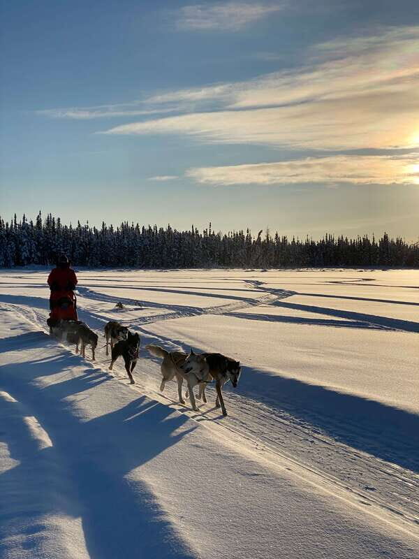 Yellowknife: Dog Sledding Tour - FAQ
