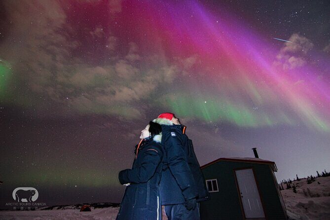 Yellowknife Shared 5 Days Arctic Aurora Viewing - Additional Activities: Arctic Insights and Fun