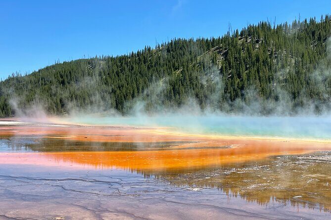Yellowstone Bus Tour - Value and Cost Analysis