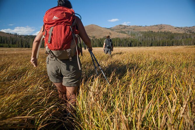 Yellowstone Full Day Private Hike - Key Points