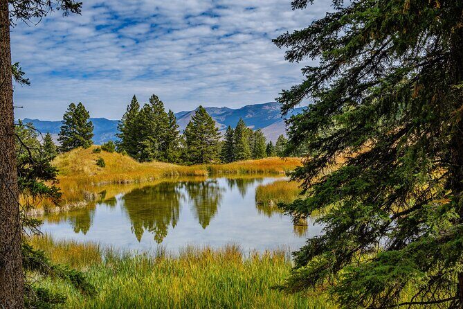 Yellowstone Full Day Private Hike - The Sum Up
