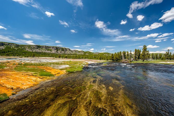 Yellowstone Full Day Private Tour - The Sum Up