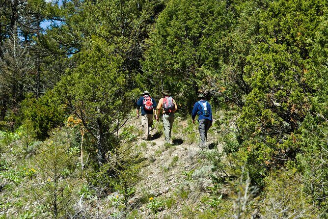Yellowstone Full Day Private Tour - FAQs