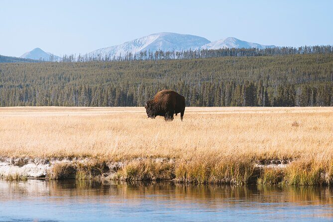Yellowstone Full Day Small Group Tour (Deep Creek) - Key Points