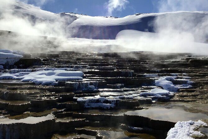 Yellowstone Full Day Winter Tour (With Optional Hike or Snowshoe) - Key Points