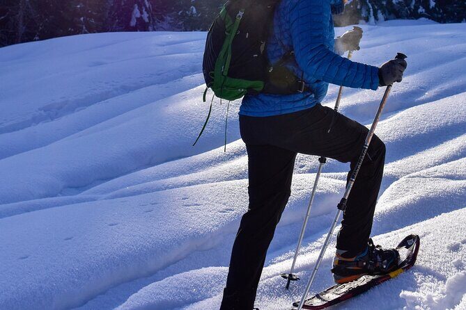 Yellowstone Full Day Winter Tour (With Optional Hike or Snowshoe) - Who Should Consider This Tour?