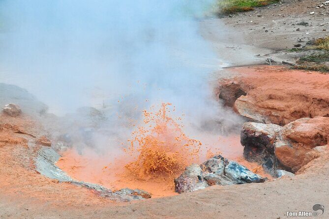 Yellowstone & Grand Teton National Parks: Small Group 3-Day Tour - An In-Depth Look at the Yellowstone & Grand Teton Experience