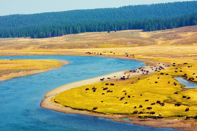 Yellowstone & Grand Teton National Parks: Small Group 3-Day Tour - FAQ