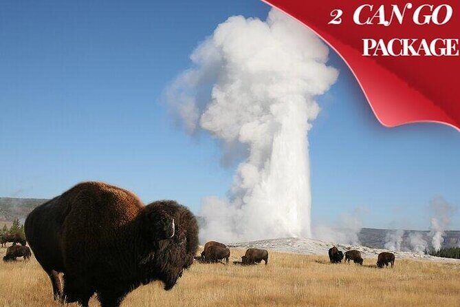 Yellowstone & Grand Teton National Parks: Small Group 4-Day Tour - Discovering the Wonders of Yellowstone & Grand Teton in Just Four Days