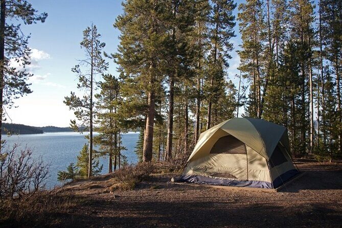 Yellowstone & Grand Teton National Parks: Small Group 6-Day Tour - Final Thoughts