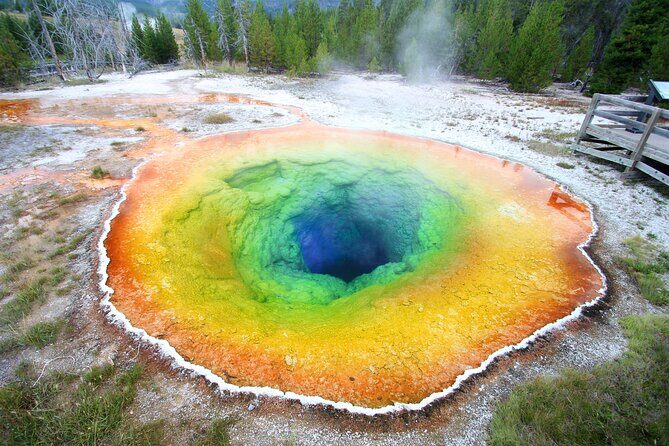Yellowstone & Grand Teton National Parks Winter Tour 5-Day - Final Thoughts
