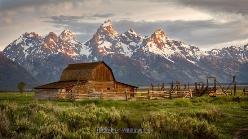 Yellowstone & Grand Tetons: 4-Day/3-Night Wildlife Adventure - Key Points