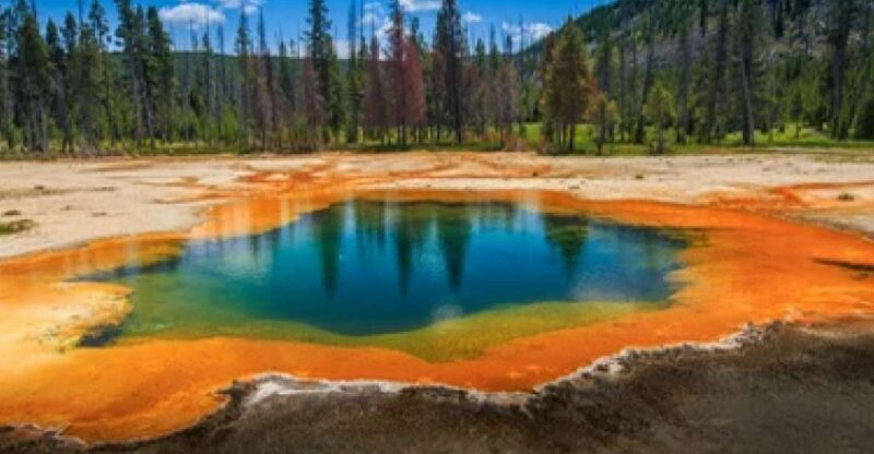 Yellowstone & Grand Tetons: 4-Day/3-Night Wildlife Adventure - An In-Depth Look at the 4-Day Wildlife Tour