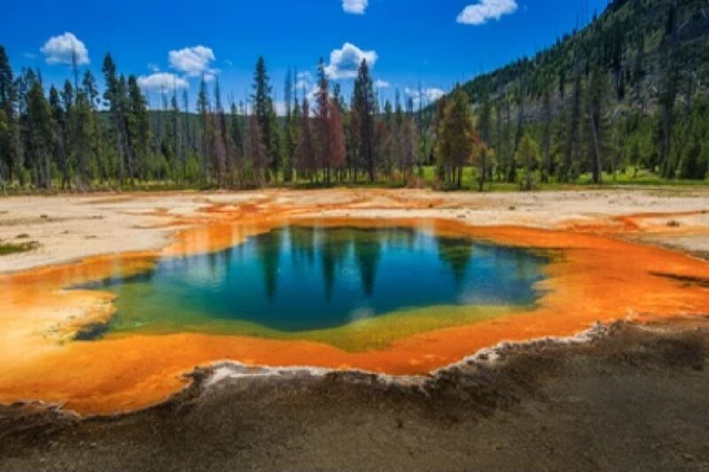 Yellowstone & Grand Tetons: 4-Day/3-Night Wildlife Adventure - Who Should Consider This Tour?