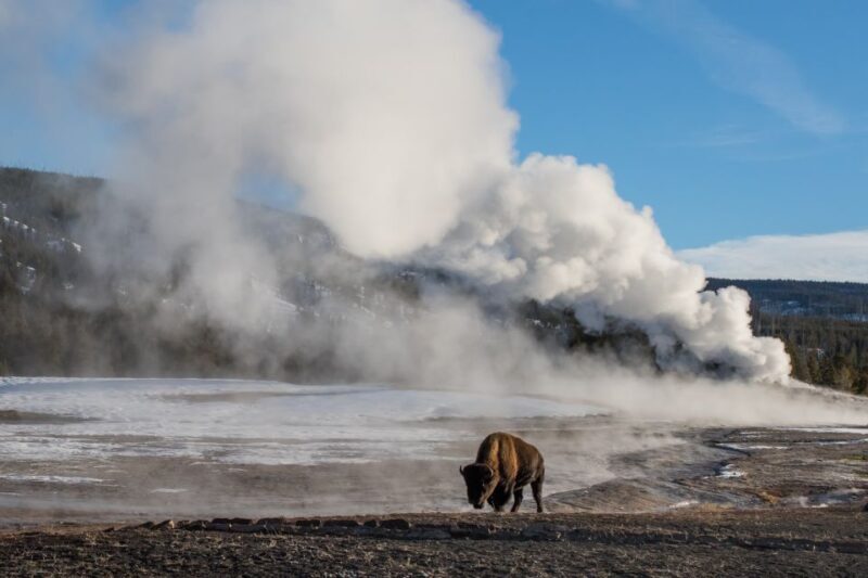 Yellowstone & Grand Tetons: 4-Day/3-Night Wildlife Adventure - Final Thoughts