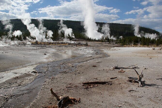 Yellowstone Lower Loop VIP Full-Day Private Tour with Lunch - Exploring the Yellowstone Lower Loop VIP Full-Day Private Tour with Lunch