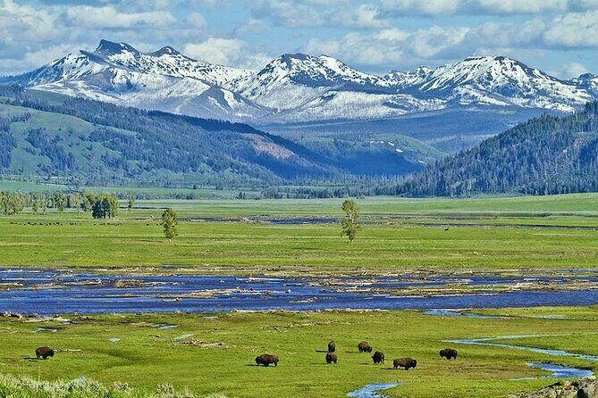 Yellowstone Lower Loop VIP Full-Day Private Tour with Lunch - What the Reviews Say