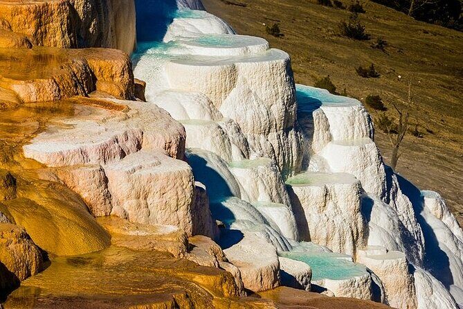Yellowstone Lower Loop VIP Full-Day Private Tour with Lunch - Price and Value