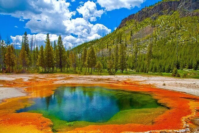 Yellowstone Lower Loop VIP Full-Day Private Tour with Lunch - The Sum Up