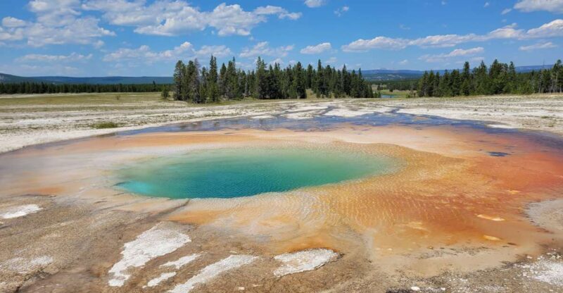 Yellowstone National Park Private Day Tour - An Honest Look at the Yellowstone Private Day Tour