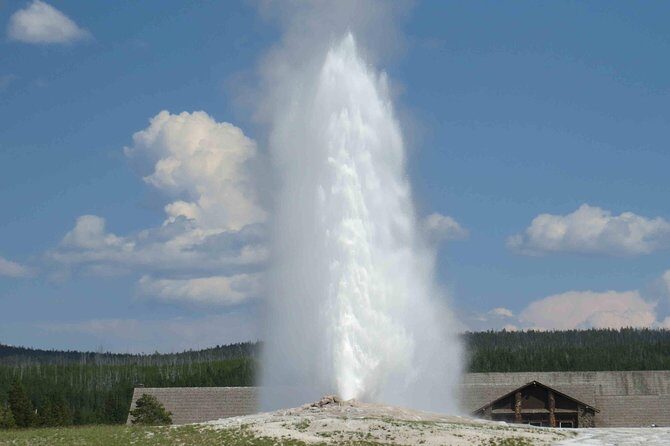 Yellowstone National Park - PRIVATE Full-Day Lower Loop Tour from W. Yellowstone - What Makes This Tour Stand Out