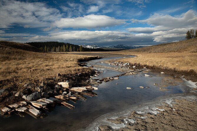 Yellowstone National Park Private Wildlife Tour - Frequently Asked Questions