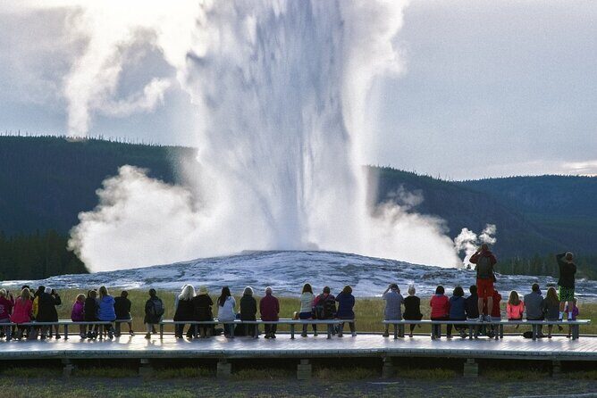 Yellowstone National Park Tour from Jackson Hole - Transport, Group Size, and Overall Comfort