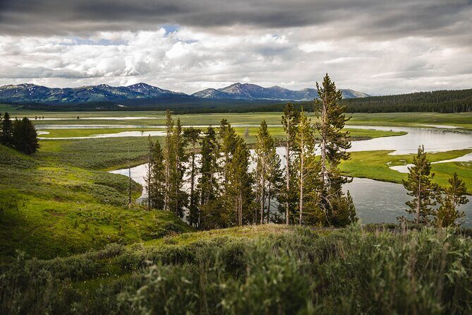 Yellowstone National Park Tour from Jackson Hole - The Value Proposition