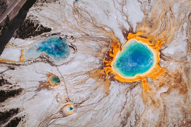 Yellowstone National Park Tour from Jackson Hole - Who Should Consider This Tour?