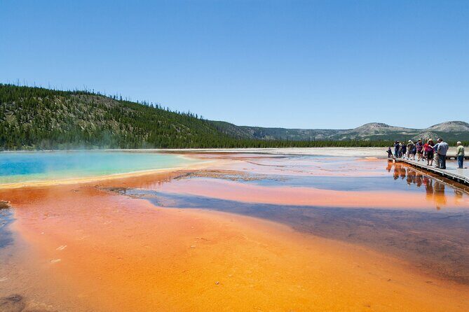 Yellowstone Nat'l Park Full Day Tour From Cody, WY - Key Points