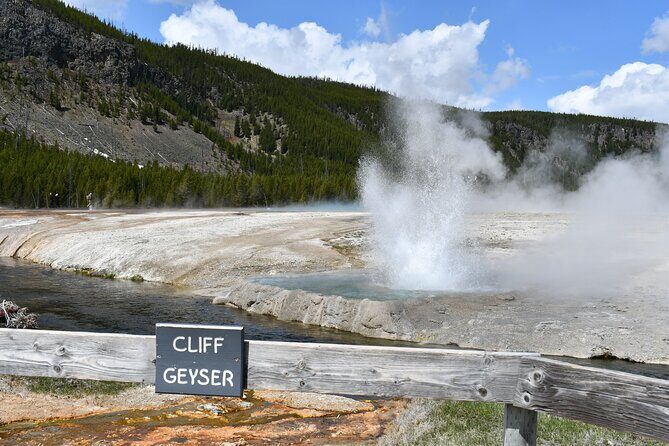 Yellowstone Park Private Day Trip from Big Sky - Full or Half Day - Who Should Consider This Tour?
