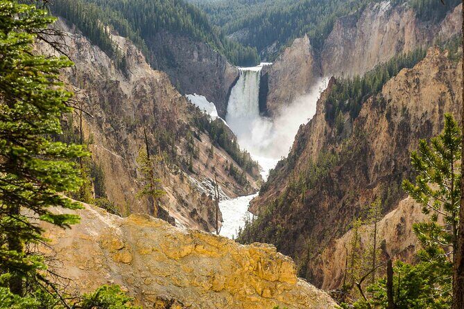 Yellowstone Private Tour Up To 14 - A Surprise Activity Included - Key Points