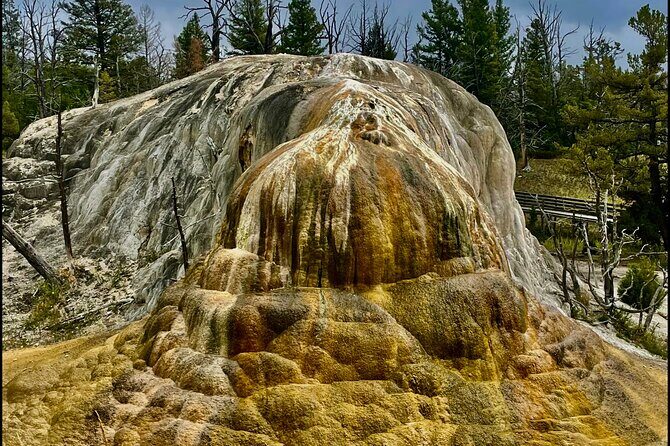 Yellowstone Wildlife and Photo Tours Upper Loop Tour From Cody - Frequently Asked Questions
