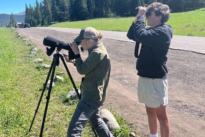 Yellowstone Wildlife Safari in Lamar Valley from Cody, WY - Key Points
