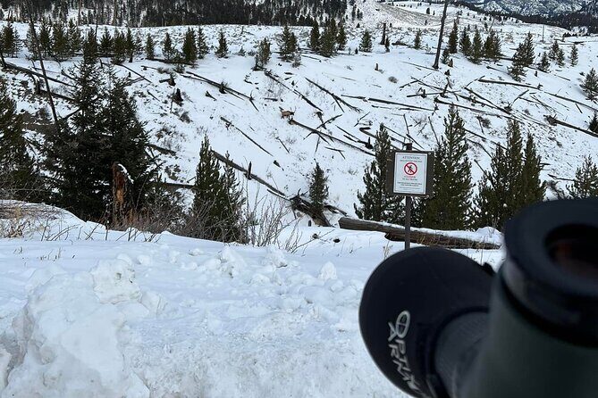Yellowstone Winter Wildlife with Snowshoeing VIP Experience - Lamar Valley: The Heart of Winter Wildlife Sightings