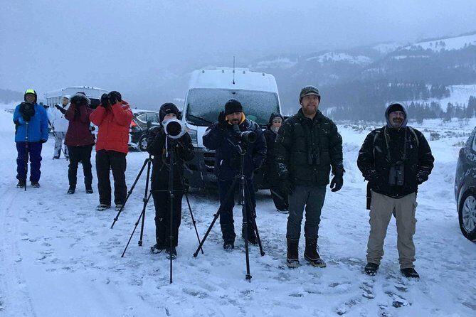 Yellowstone Wolves and Winter 4Day/3Night Adventure from Montana - Exploring the Itinerary in Detail
