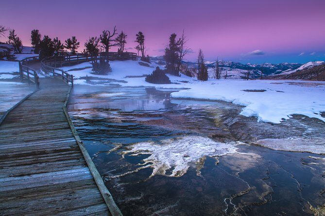 Yellowstone Wolves and Winter 4Day/3Night Adventure from Montana - The Sum Up: Is It Worth It?