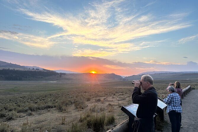 Yellowstone's Lamar Valley & Picnic With Wildlife Guide - An In-Depth Look at the Tour Experience