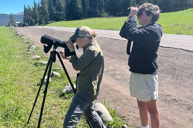 Yellowstone's Lamar Valley Wildlife Safari from Gardiner - An In-Depth Look at the Yellowstone Lamar Valley Safari