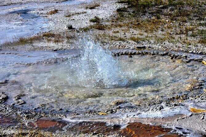 Yellowstone's Old Faithful Self-Guided Walking Tour - FAQ