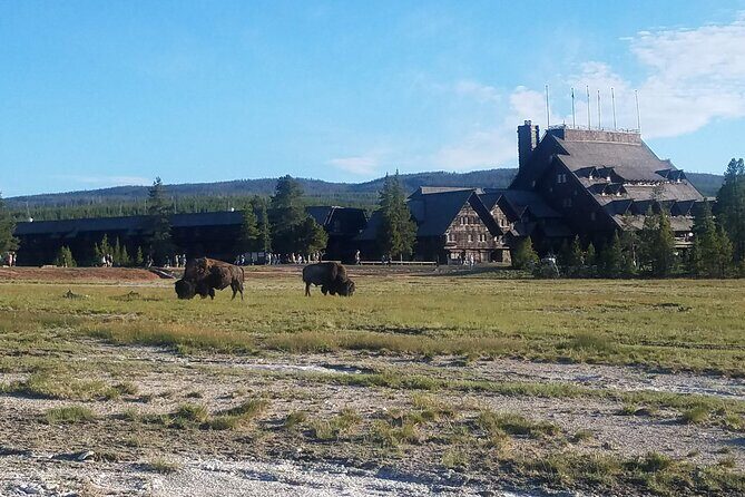 Yellowstone's Upper Geyser Basin: A Self-Guided Audio Tour - What Travelers Say