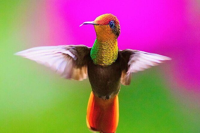 Yerette Home of the Hummingbird - Frequently Asked Questions