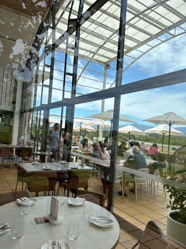 Yering Winery, LV Chandon Winery, Puffing Billy Steam Train - Discovering the Yarra Valley’s Vines and Flavors