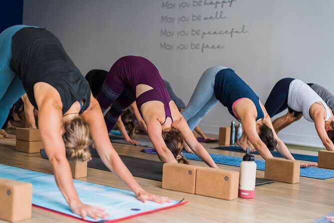 Yoga Classes - What to Expect from Your Yoga Class Experience
