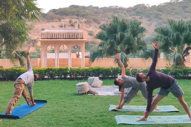 Yoga in Jaipur with Amit (Yogi on Travel) - What to Expect from the Yoga Session in Jaipur