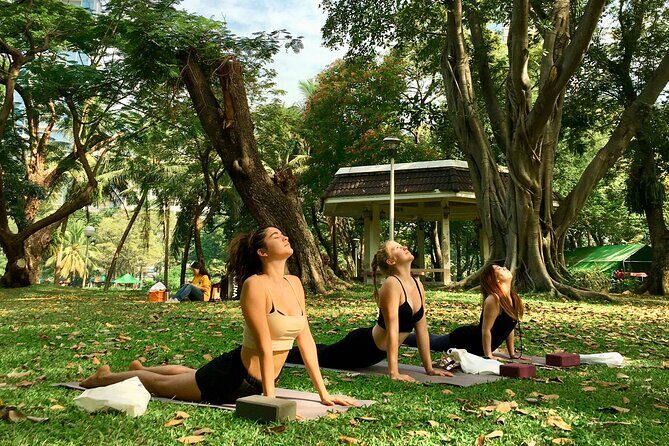 Yoga in the Park Thailand - Exploring the Experience: What to Expect